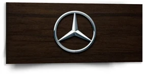 Sablio Obraz Logo 5 Drevo - 110x50 cm