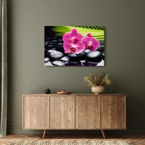 Obraz - Ružové orchidey s palmovým listom (90x60 cm)