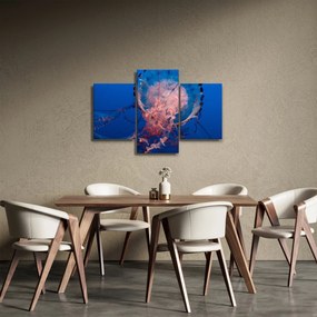Obraz medúzy (90x60 cm)