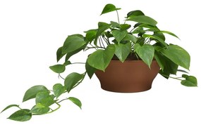 Kvetináč z terakoty ø 23 cm Saramago – Artevasi