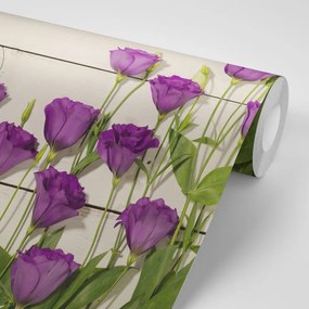 Fototapeta nádherné fialové kvety - 150x100