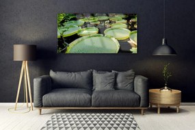 Obraz plexi Listy jazero príroda 120x60 cm