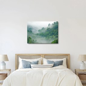 Obraz - Ranná hmla (70x50 cm)