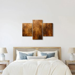Obraz - Detail dreva (90x60 cm)
