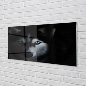 Sklenený obraz wolf Eyes 125x50 cm