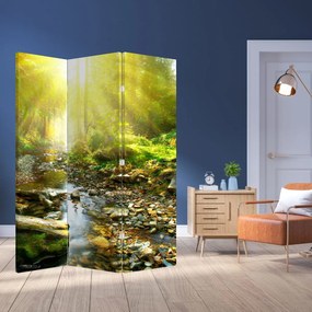 Paraván - Rieka v zelenom lese (126x170 cm)