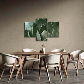 Obraz - Zelená agáve (90x60 cm)