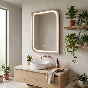 Rea ZONE, LED zrkadlo 50x70cm v ráme, brúsené ružové zlato, HOM-00304