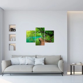 Obraz - Plitvické jazerá (90x60 cm)