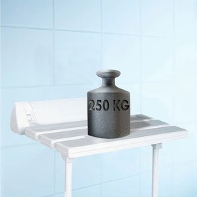 Ridder Ridder, Sedátko do sprchy, sklopné s podperou, biele, A0020301