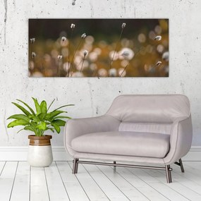 Obraz - Lúka s cottongrass N⁰2 (120x50 cm)