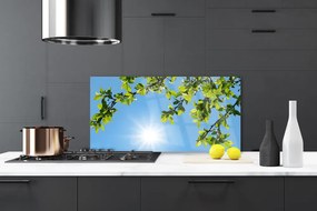 Nástenný panel  Slnko príroda 125x50 cm
