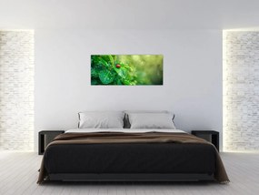 Obraz - Lienka (120x50 cm)