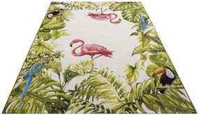 Koberec Hanse Home Flair Tropical Birds viacfarebný