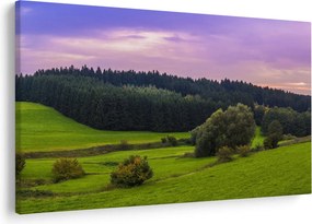 Obraz lúky (90x60 cm)