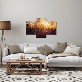 Obraz poľa pri západe slnka (90x60 cm)