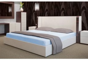 Froté plachta na posteľ s gumkou - svetlo modrá Šírka: 90 cm | Dĺžka: 200 cm