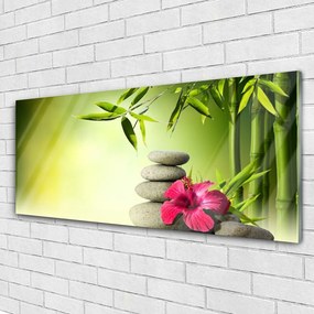 Obraz plexi Bambus kvet kamene zen 125x50 cm