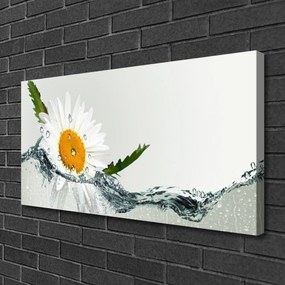 Obraz Canvas Sedmokráska vo vode 120x60 cm