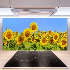 Nástenný panel  Slnečnica kvet rastlina 100x50 cm