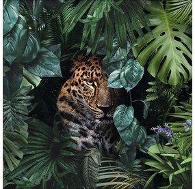 Sklenený obraz Jaguar in the jungle 50x50 cm