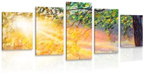 5-dielny obraz východ slnka v lese - 200x100