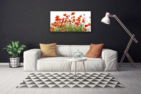 Obraz Canvas Maky rastlina príroda 120x60 cm
