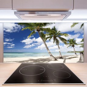 Nástenný panel  More pláž palma krajina 100x50 cm