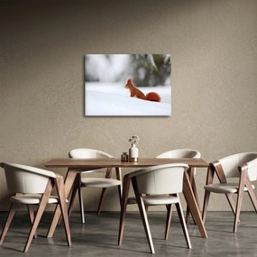 Obraz veveričky (70x50 cm)