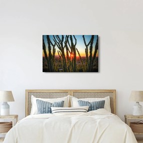 Obraz - Rastliny (90x60 cm)