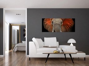 Obraz - Slony z Tsavo (120x50 cm)