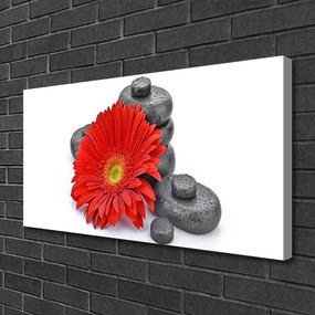 Obraz Canvas Kvety gerbery kamene zen 140x70 cm