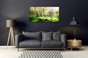 Obraz na skle Mech les príroda 140x70 cm