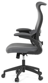 Kancelárska stolička ERGO Mesh Pro/sivá