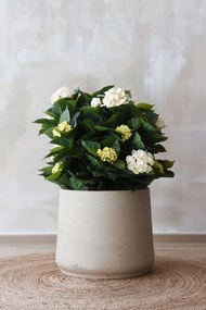 Kvetináč TROPICO, sklolaminát, výška 38 cm, béžová