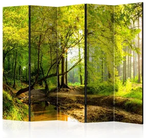 Artgeist Paraván - Forest Clearing II [Room Dividers]
