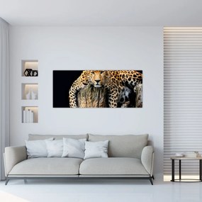 Obraz - Gepard (120x50 cm)