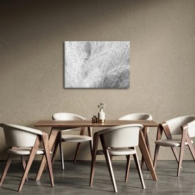 Obraz - Pampas grass N⁰1 (70x50 cm)