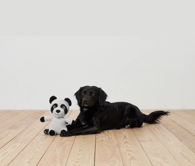 Plyšová hračka pre psy »Waschbär«