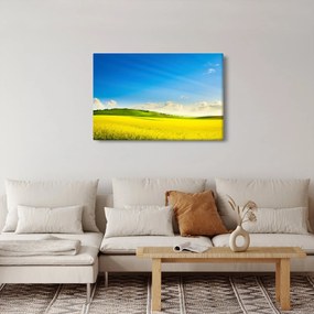 Obraz - Jarné nebo (90x60 cm)