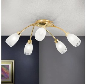 Orion - Prisadený luster CARLA 5xG9/28W/230V zlatý