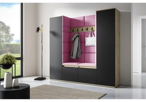 Predsieňová stena AMI 31 Bez zrkadla Dub artisan + čierna Svetlo ružová