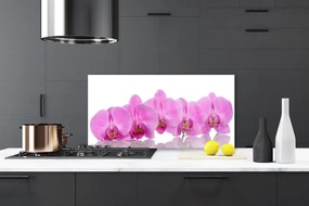 Sklenený obklad Do kuchyne Ružová orchidea kvety 120x60 cm