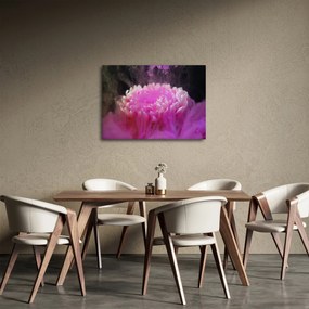 Obraz kvetiny v ružovom dyme (70x50 cm)