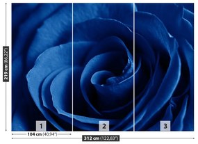 Fototapeta Vliesová Modrá ruža 208x146 cm