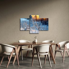 Obraz - Zimná lúka (90x60 cm)
