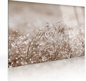 Sklenený obraz - Lúka v hnedých tónoch (70x50 cm)