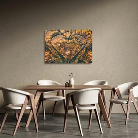 Sklenený obraz - Rieka v tvare srdca (70x50 cm)
