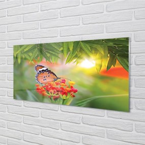 Nástenný panel  Farebný motýľ kvety 125x50 cm