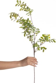 Vetvička Green Twig 100cm